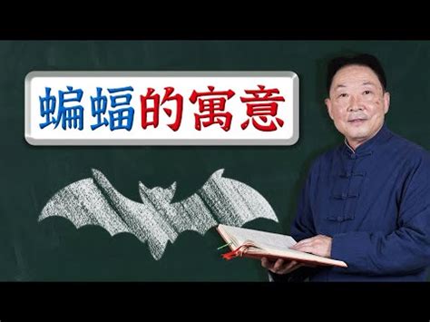 蝙蝠出現代表什麼|【蝙蝠出現代表什麼】蝙蝠出現代表什麼？3個現象預示著即將發。